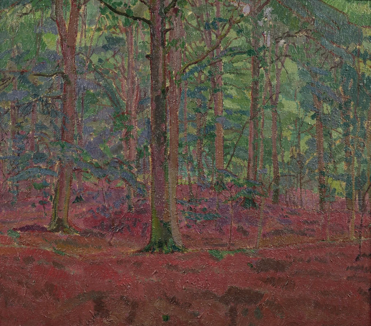 Harold Gilman - Un bosco di faggi